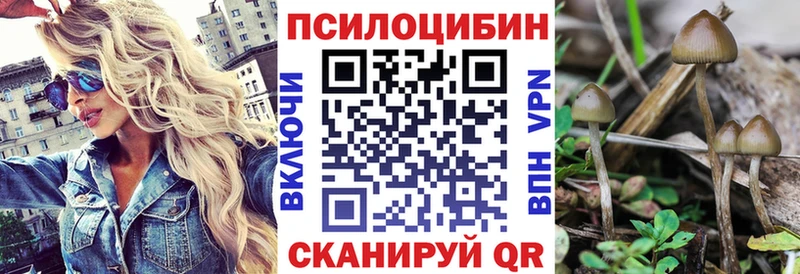Псилоцибиновые грибы прущие грибы  Тейково 